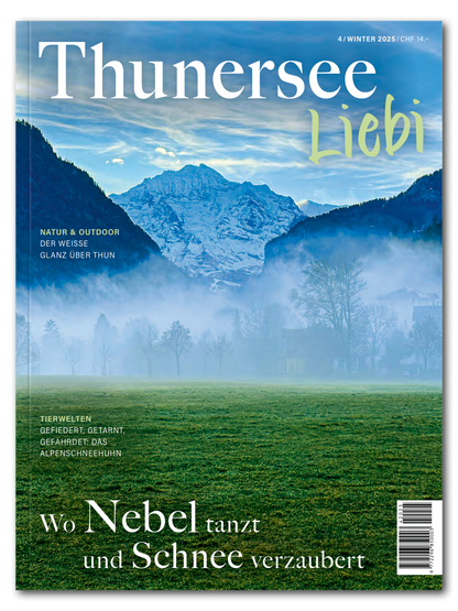 Einzelausgaben ThunerseeLiebi
